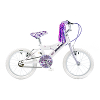 Concept Secret 16in Wheel Girls Bike