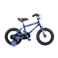 Concept Spider 14in Wheel Boys Bike