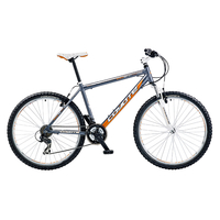 Coyote Illinois 22in Mens Mountain Bike