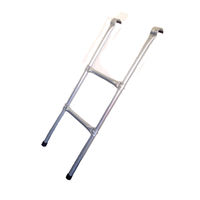 EvoStar 10 to 14ft Ladder