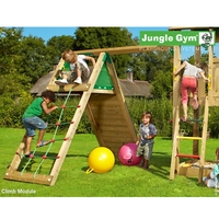 Jungle Gym Climb Module inc Timber Xtra inc Swing Seat