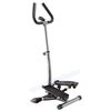 Mighty Deluxe Twist Stepper