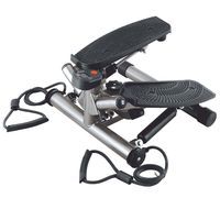 Mighty Mini Twist Stepper