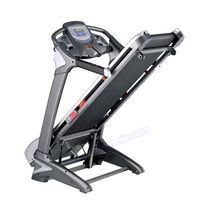 Mighty Olympian Treadmill