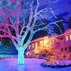 Snowtime 100 Straight Line Colour Changing Connectable LEDs