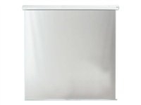 Metroplan Large Format Electric Screen - projection screen (motorized) - 223 in (566 cm )