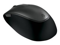Microsoft Comfort Mouse 4500 for Business - mouse