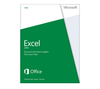 MICROSOFT Excel 2013