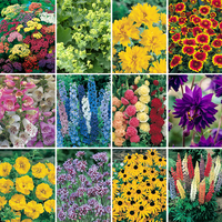Hardy Perennials Collection 1L (6 Pack)