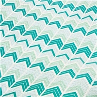 Hazel and Ruby Wrap It Up Crazy For Chevy Teals Paper Roll