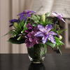 Highland Arrangement