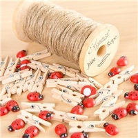 Hunkydory Mini Pegs Ladybugs Embellishment Collection