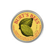 Burt