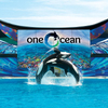 2 Park SeaWorld and Aquatica Ticket