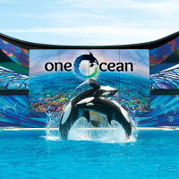 2 Park SeaWorld and Busch Gardens Ticket